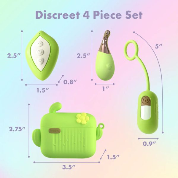 Blooming Bliss First Time Bullet & Egg Vibrators with Charging Case & Remote For Cheap - Image 2